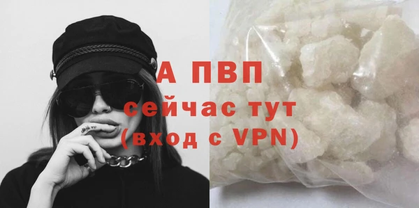 шишки Кинешма