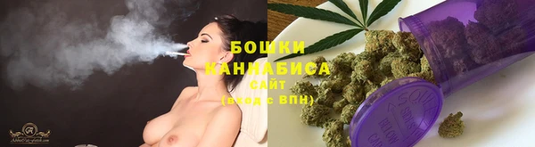 шишки Кинешма