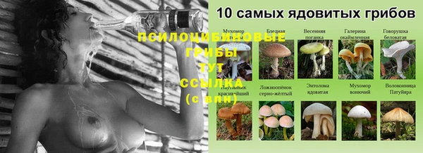 шишки Кинешма