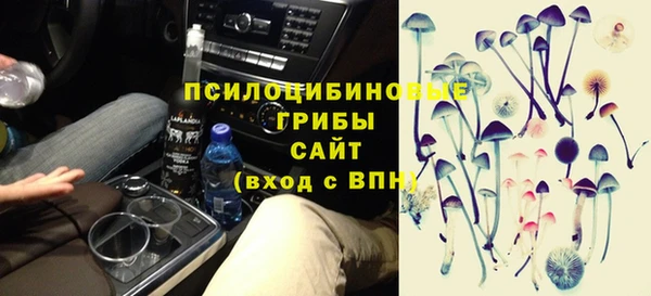 шишки Кинешма